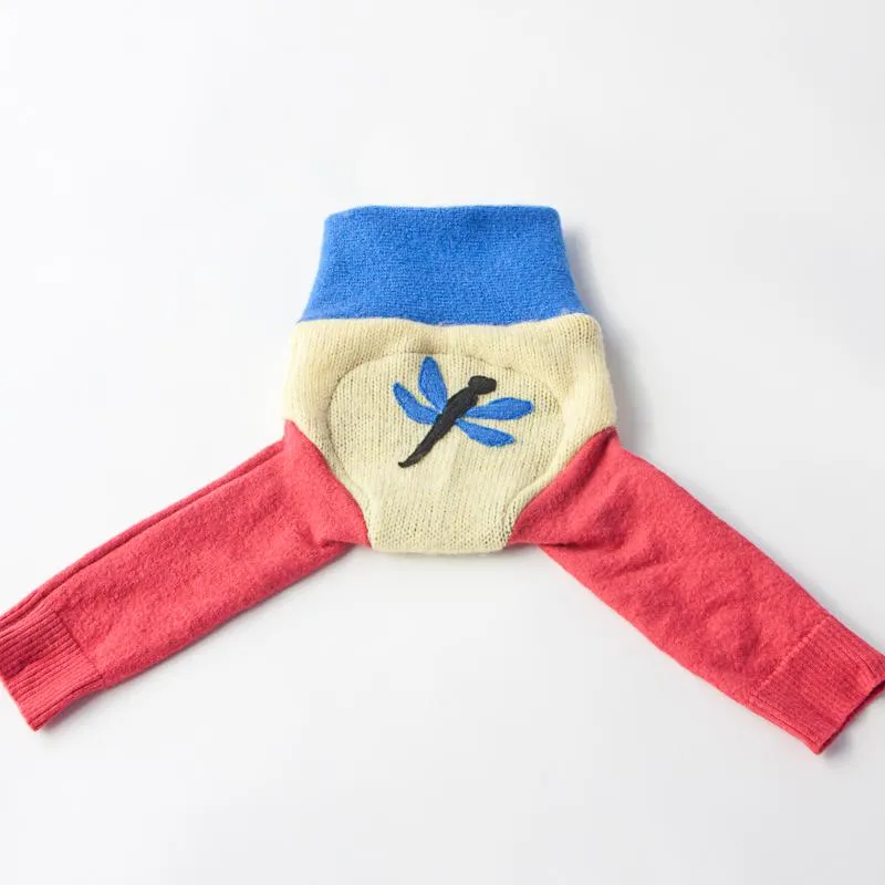 Wool Diaper Cover with Dragonfly Appliqué