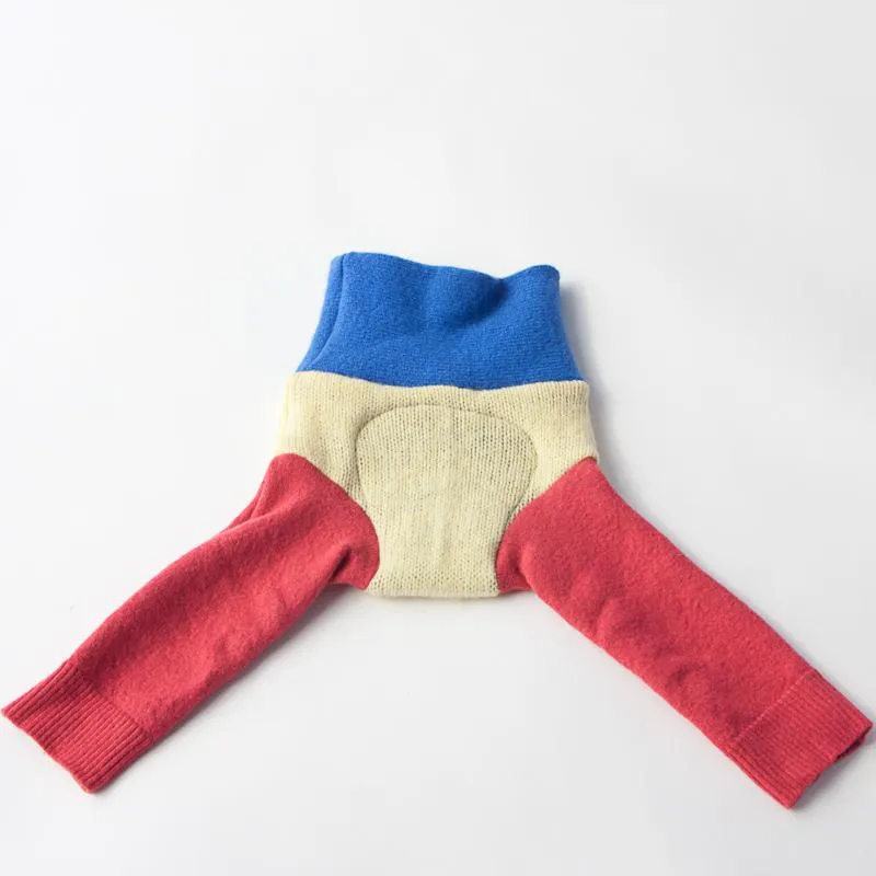 Wool Diaper Cover with Dragonfly Appliqué